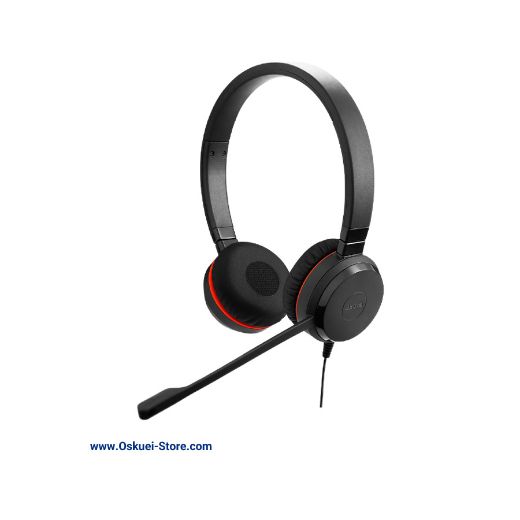 Jabra Evolve 20 UC Stereo-USB-SE-02